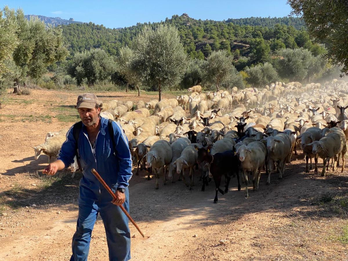 Antiguo Molino Διαμέρισμα Arnés Εξωτερικό φωτογραφία