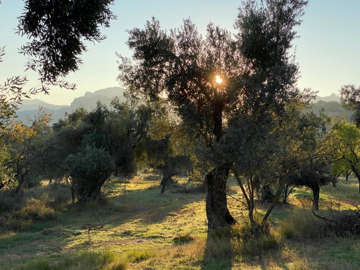 Antiguo Molino Διαμέρισμα Arnés Εξωτερικό φωτογραφία